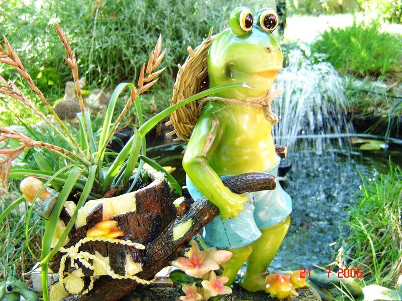 Frog garden statue by pond