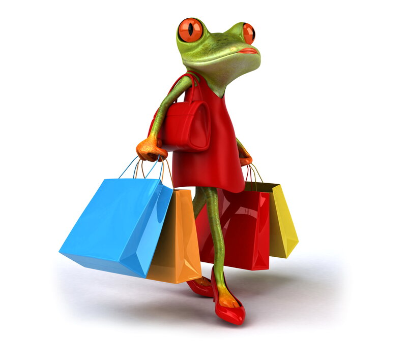 Frog Holding Shopping Bags