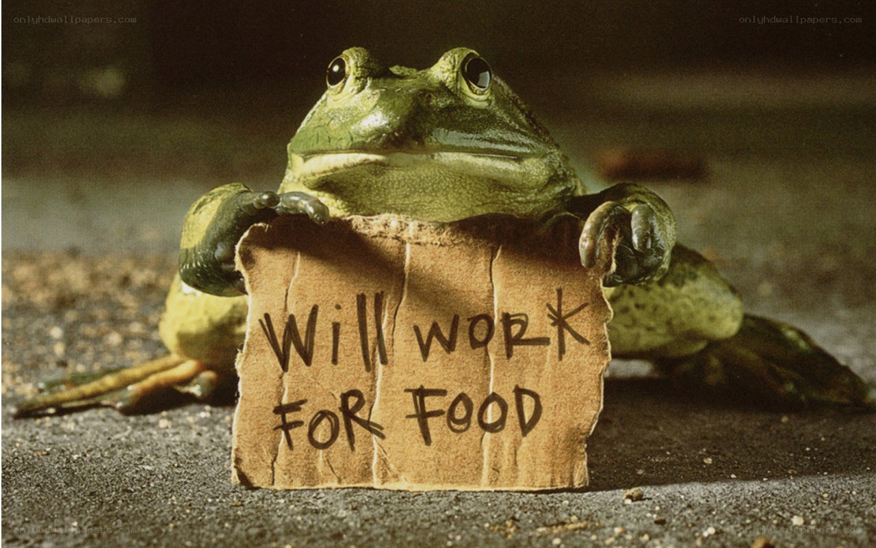 frog holding sign