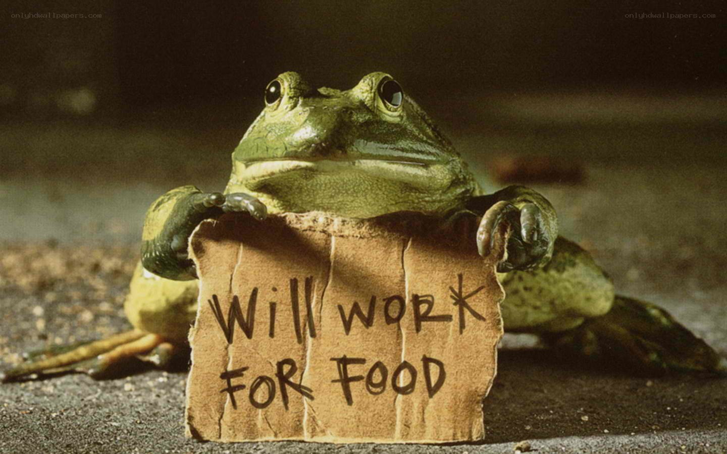 frog holding sign
