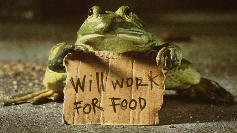 frog holding sign