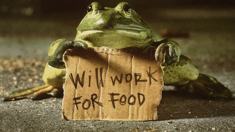 frog holding sign