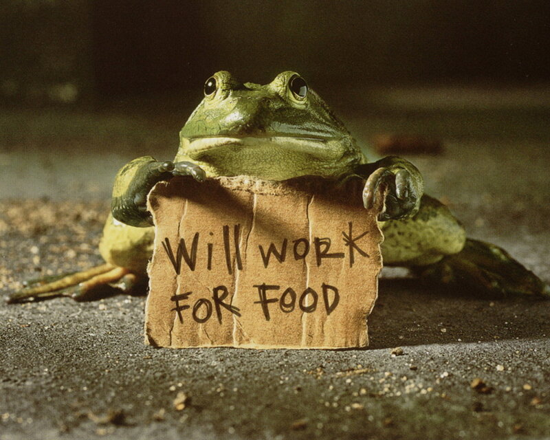 Frog Holding Sign — Green, Humorous