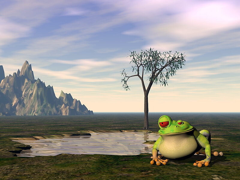 frog in a barren landscape
