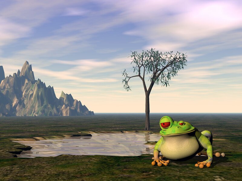 frog in a desert landscape