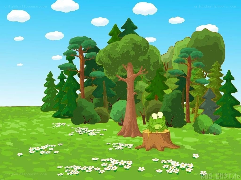 frog in a forest