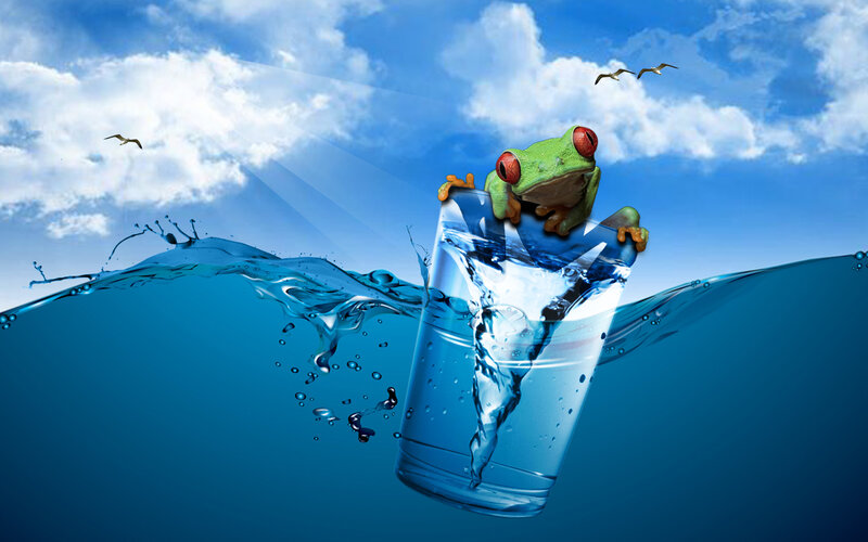 frog in a glass of water