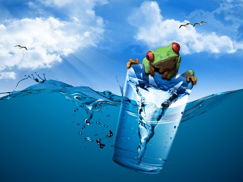 frog in a glass of water