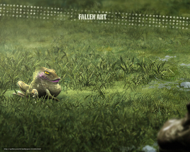 Frog in a grassy field