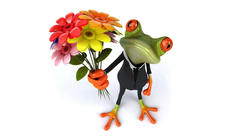 Frog in a Suit — Green