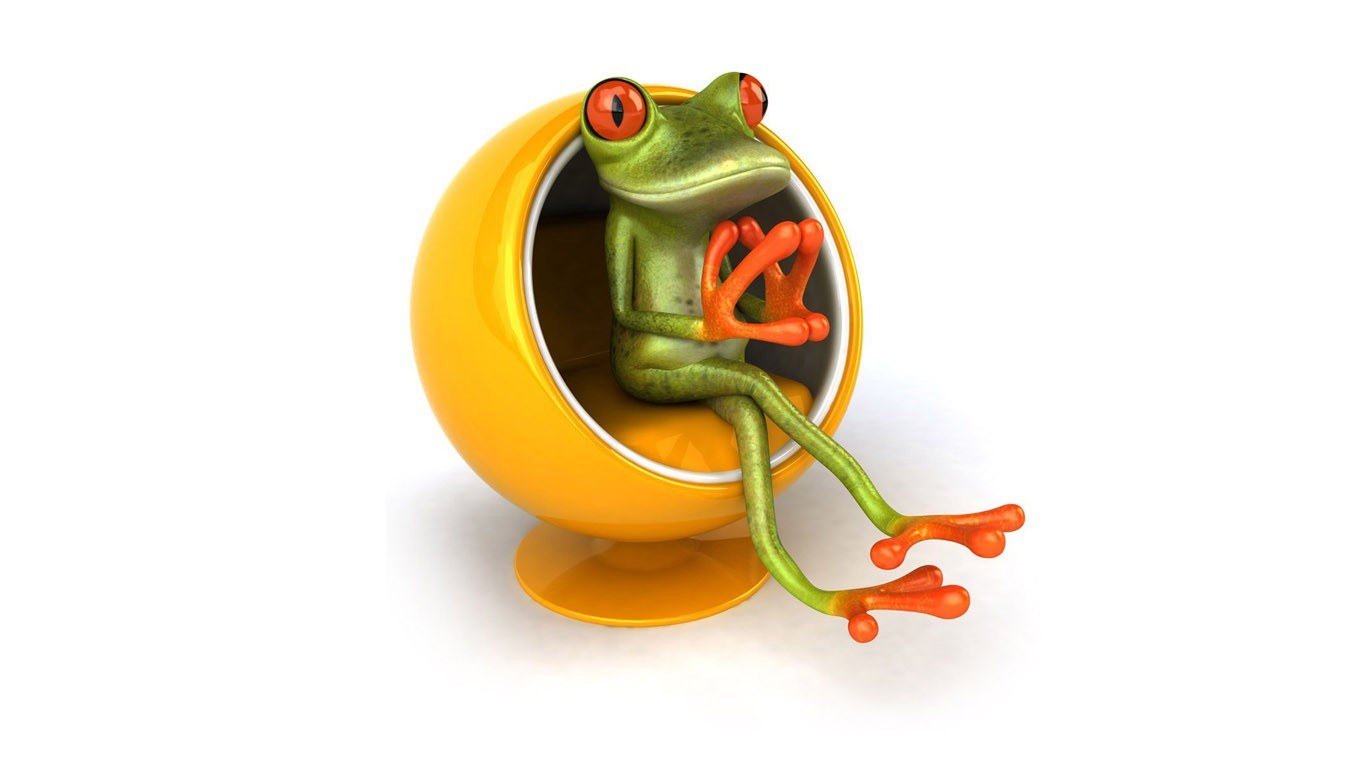 frog in a yellow chair