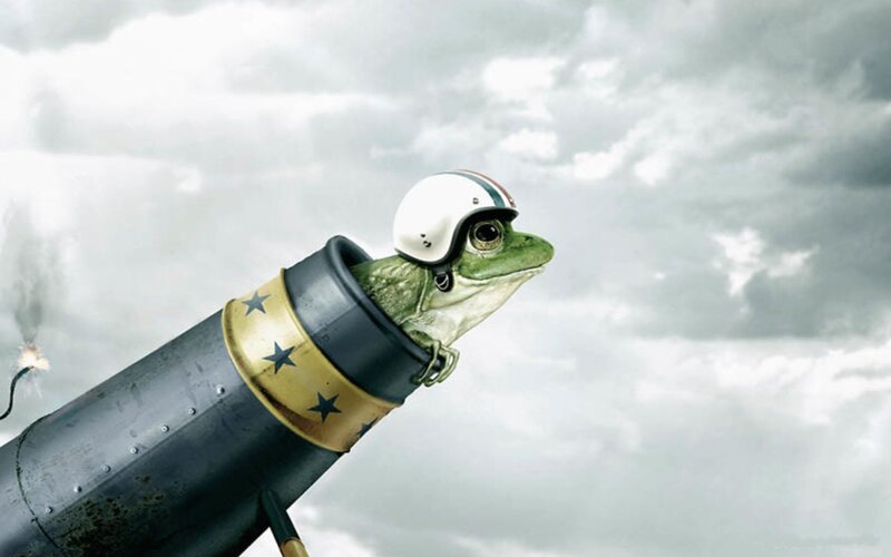 Frog in Cannon