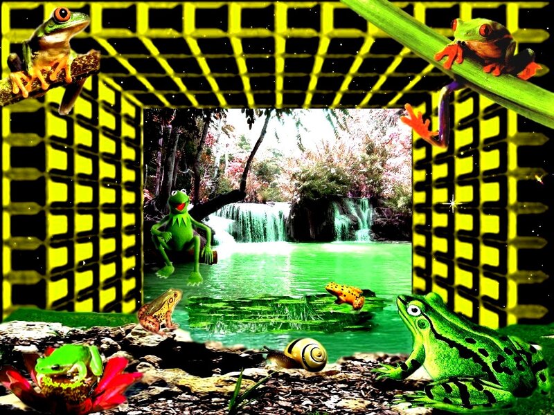 Frog in Forest Scene