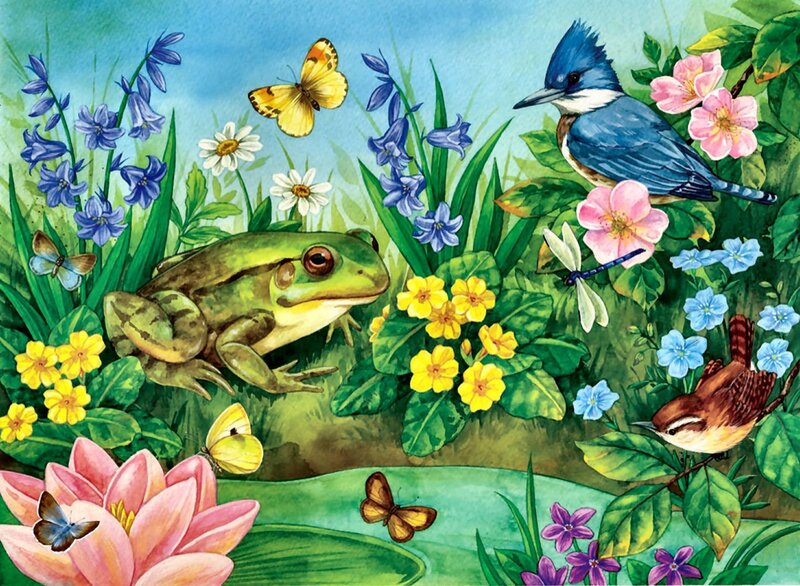 Frog in Garden — Green