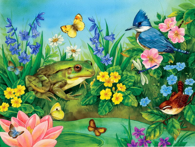 Frog in Garden
