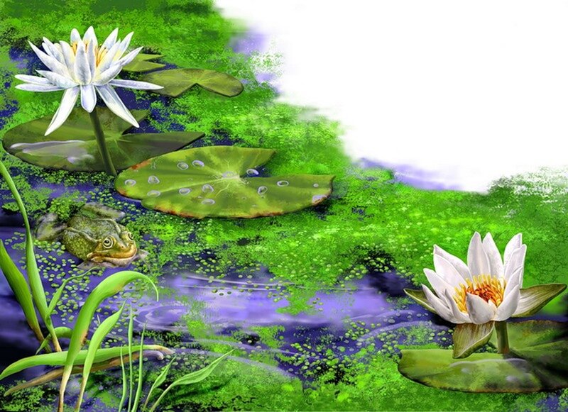 Frog in Pond with Lilies