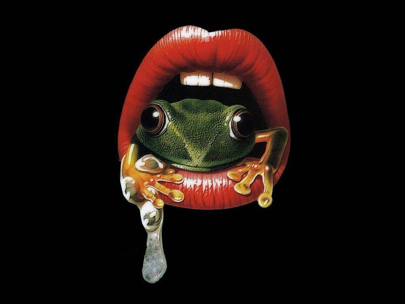 frog in red lips