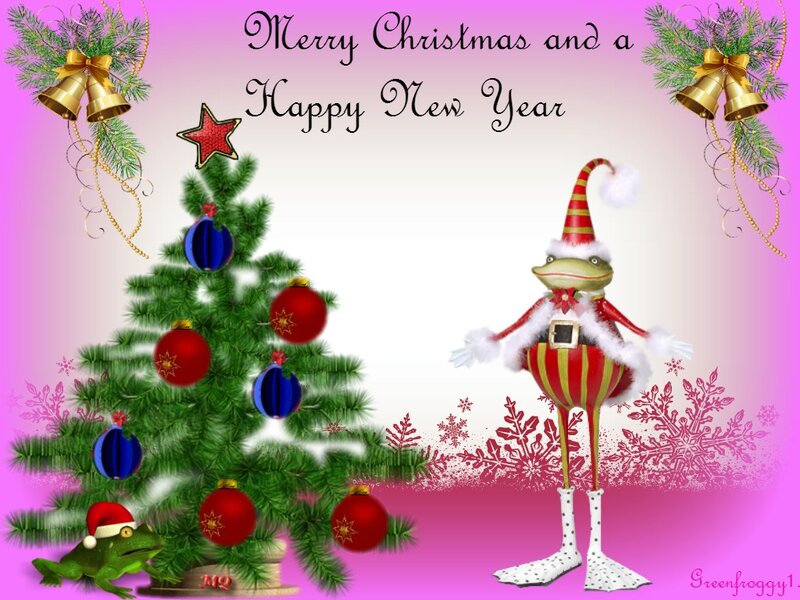 Frog in Santa Outfit