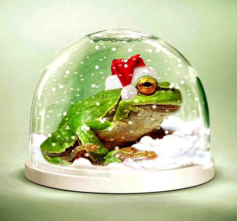 Frog in Snow Globe
