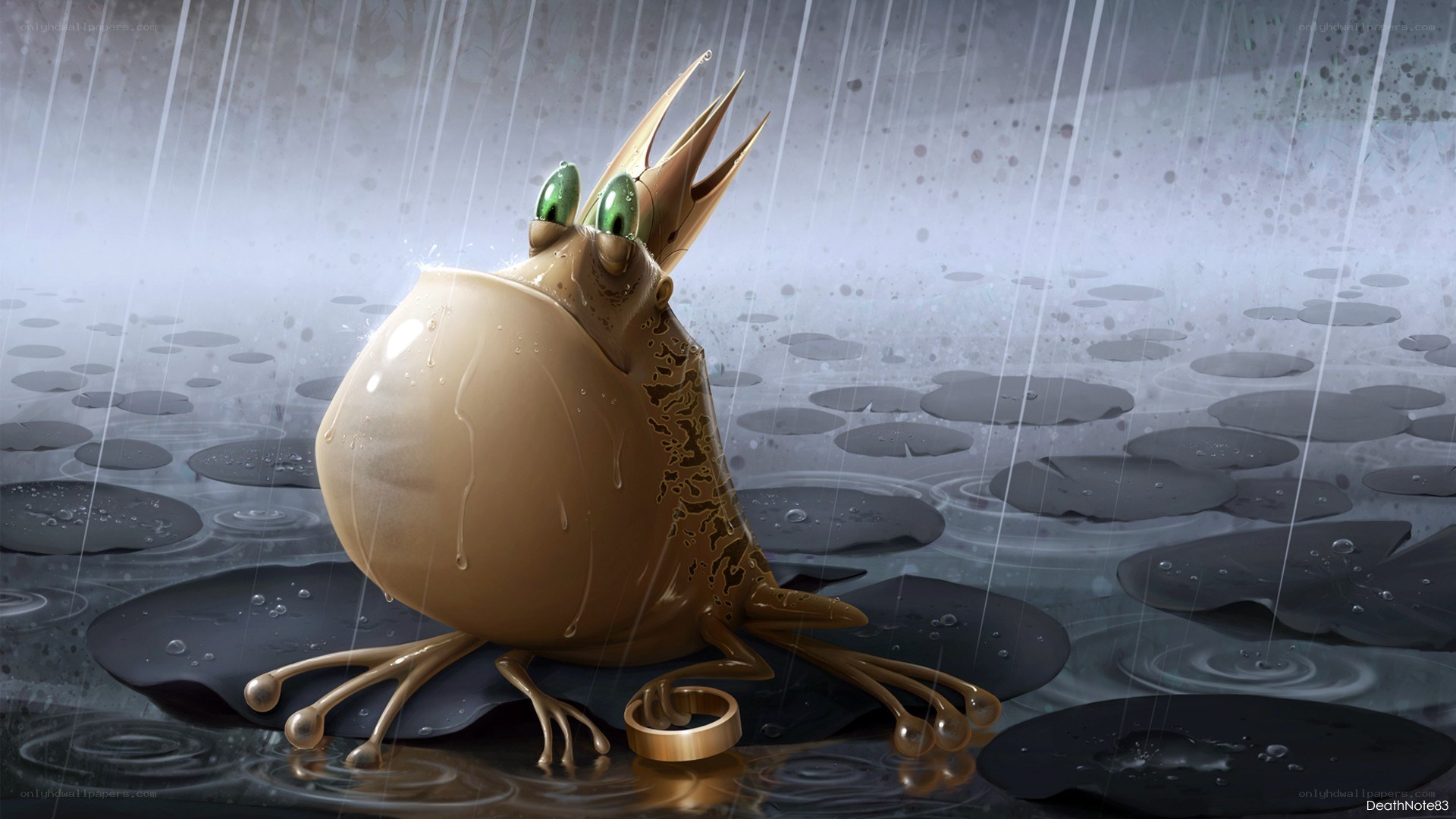 frog in the rain