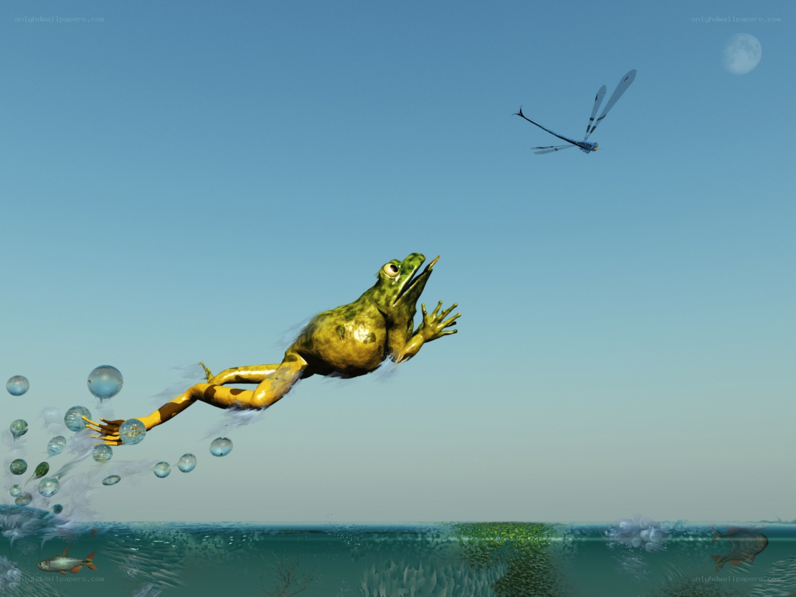 frog jumping from water