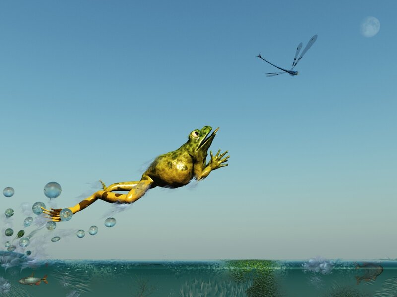 frog jumping from water