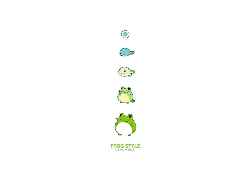frog life cycle illustration