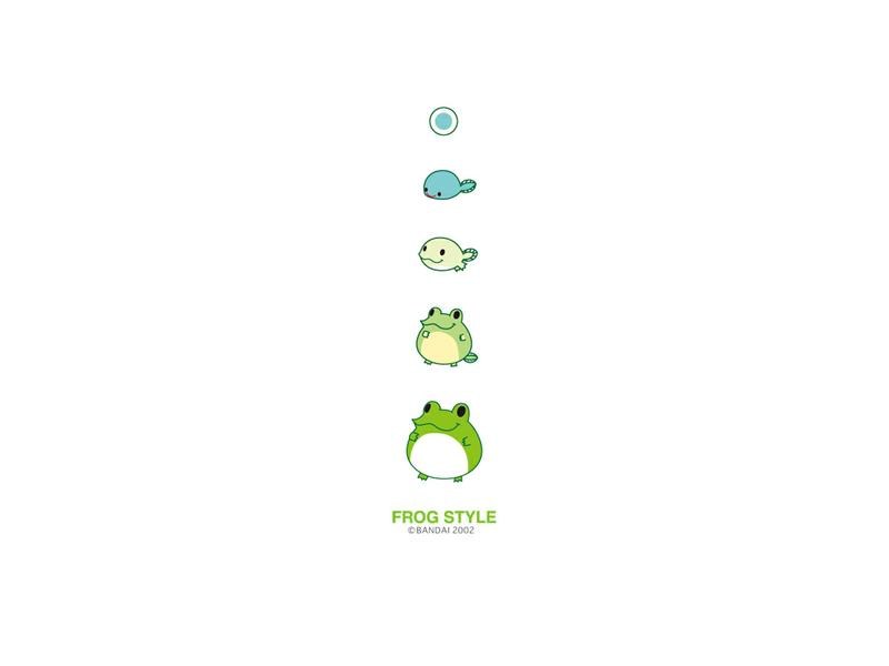 frog life cycle illustration