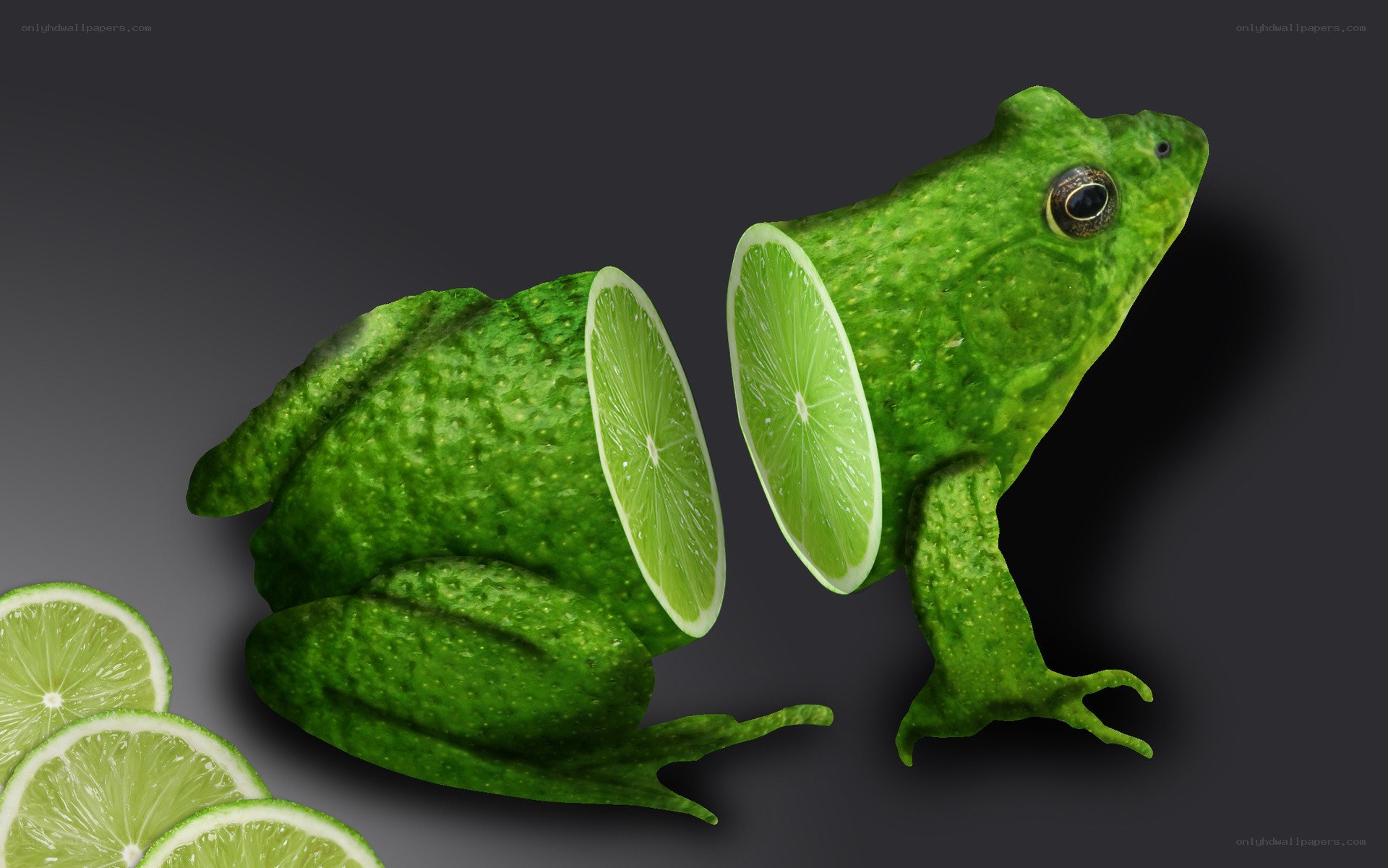 frog made of limes