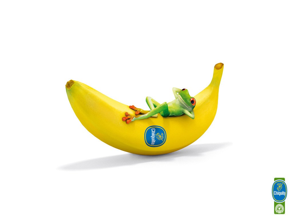 frog on a banana
