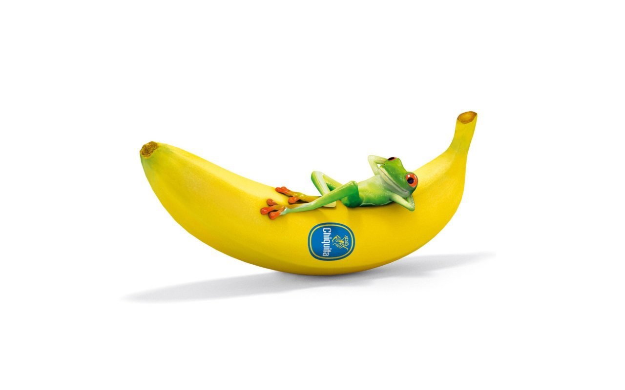 frog on a banana