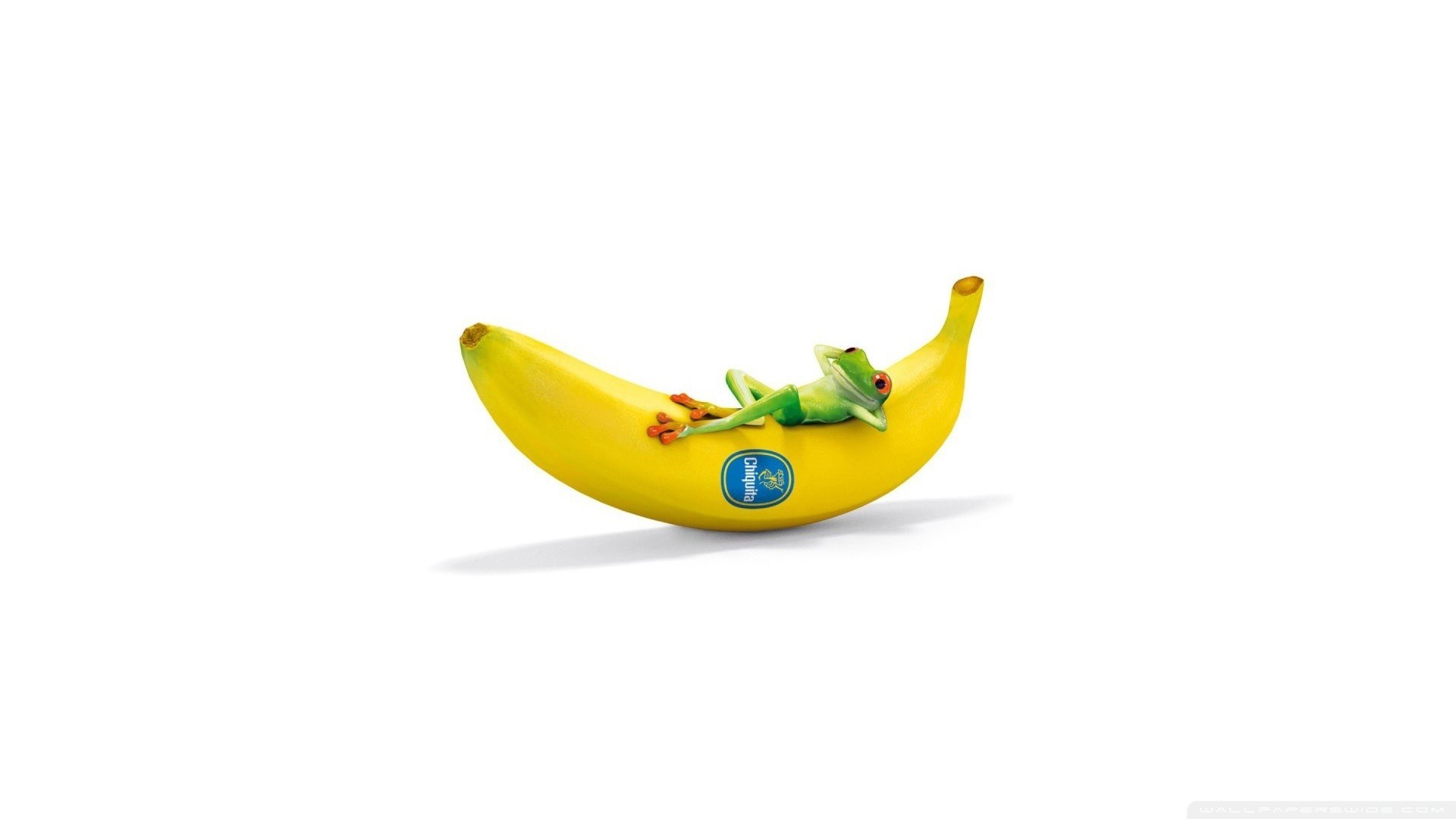 frog on a banana