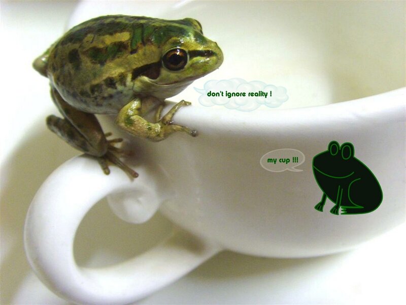 Frog on a Cup