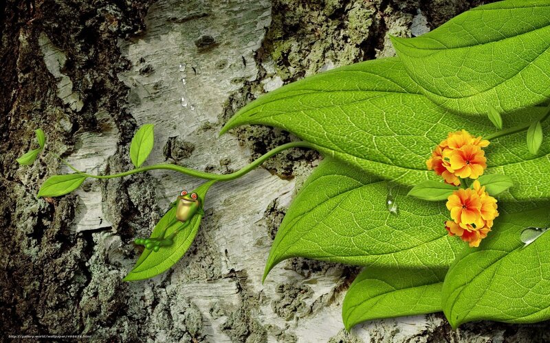 Frog on a leaf by tree