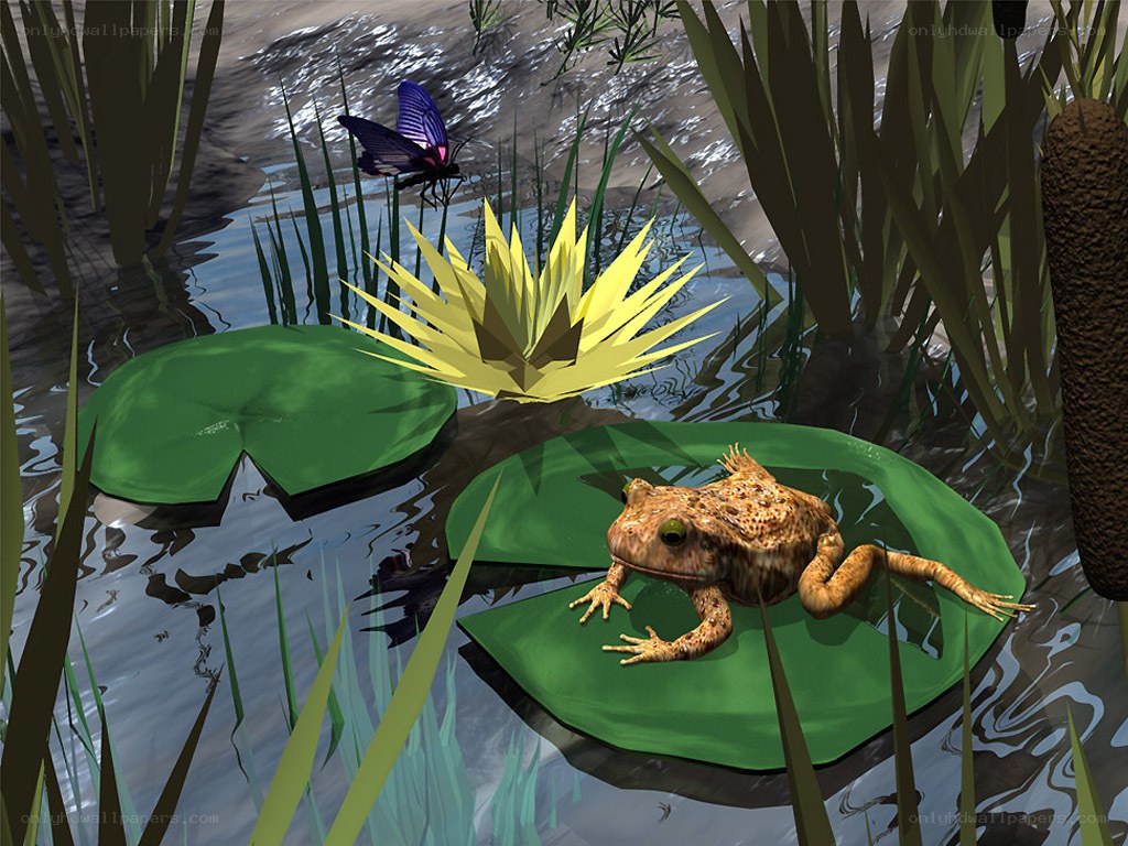 Frog on a lily pad