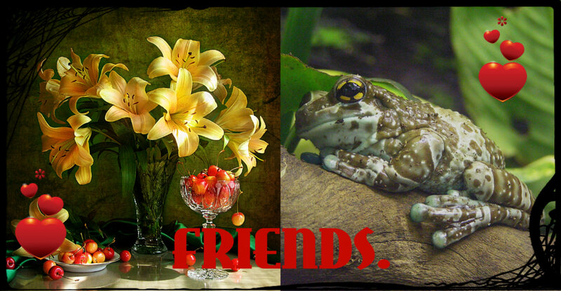 Frog on a Log — Green