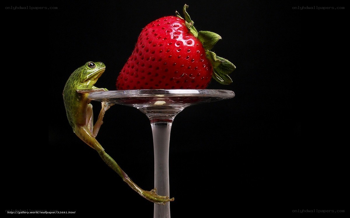 frog on a strawberry glass