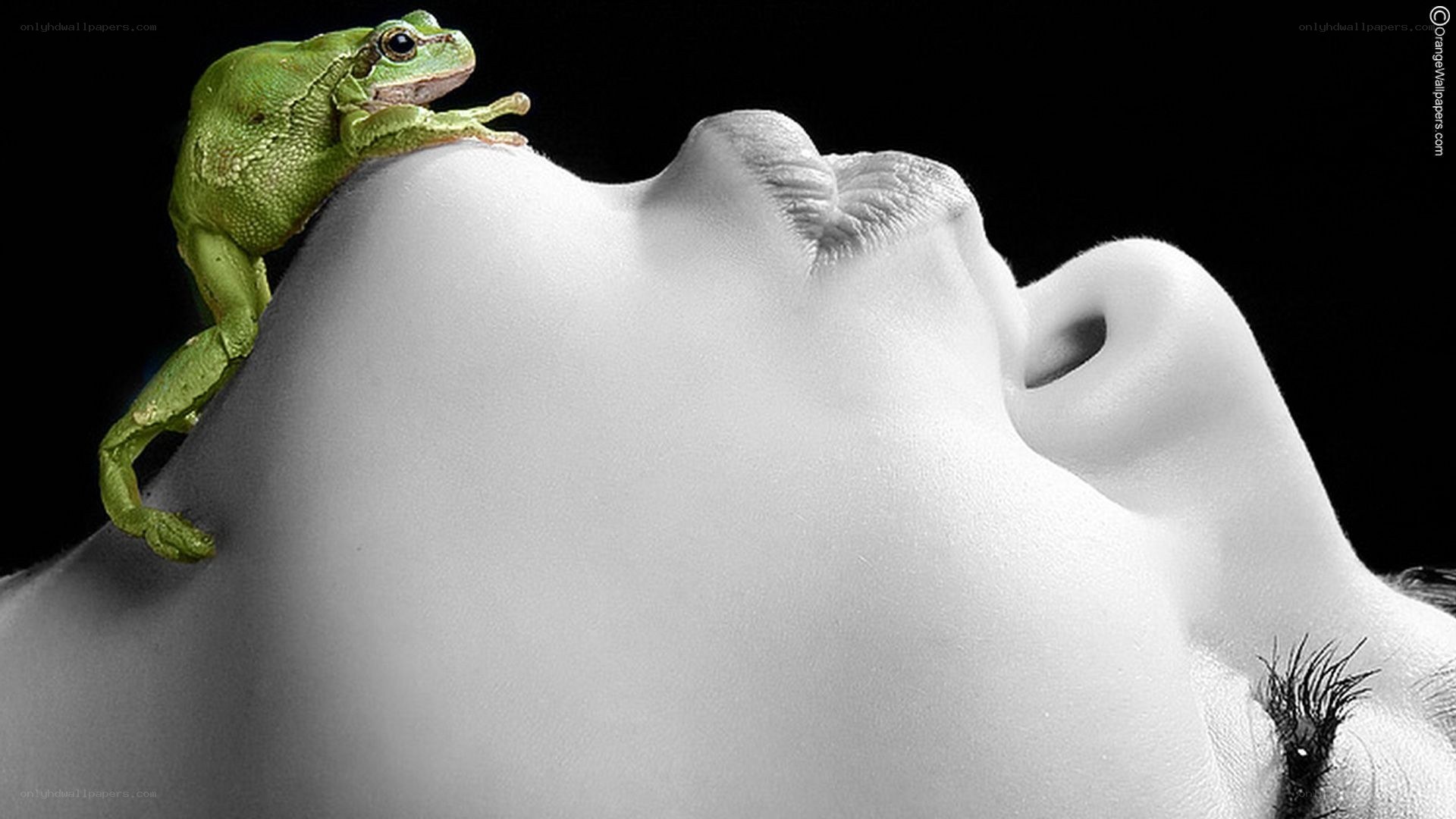 frog on a woman's face