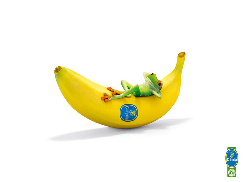 Frog on Banana — Yellow, Playful