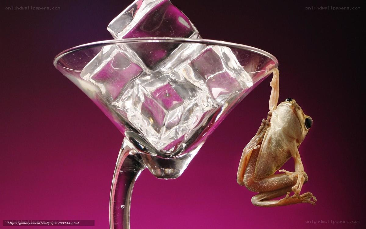 frog on cocktail glass