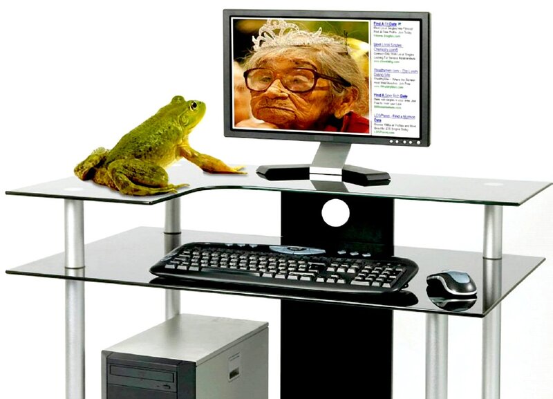 Frog on Computer Desk