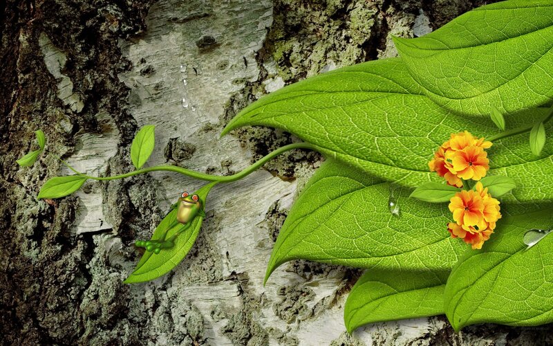 Frog on Leaf by Tree — Green