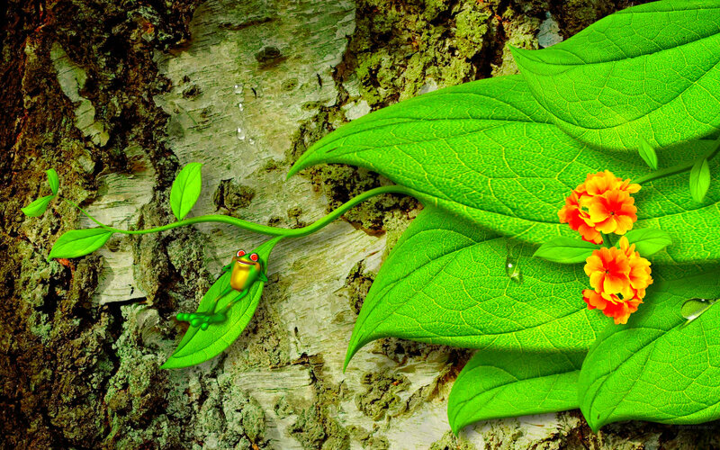 Frog on Leaf — Green