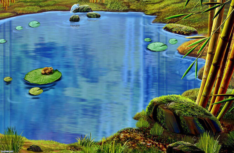 Frog on Lily Pad — Blue