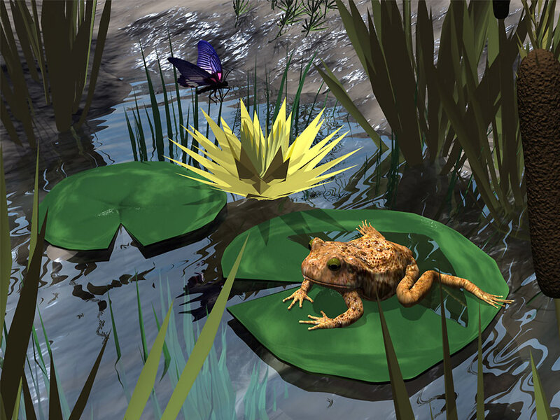 Frog on Lily Pad — Green, Serene, Afternoon, 3d Render