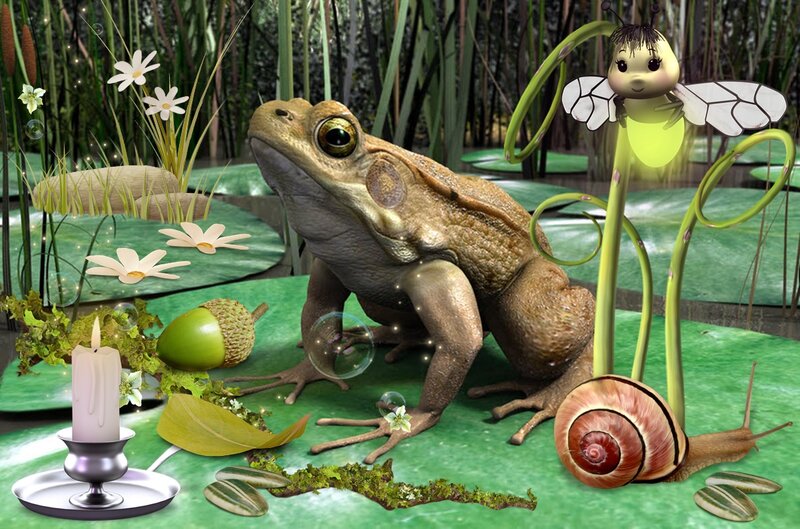 Frog on Lily Pad — Green, Whimsical