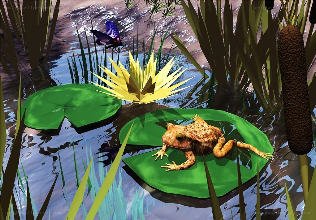 Frog on lily pad in pond