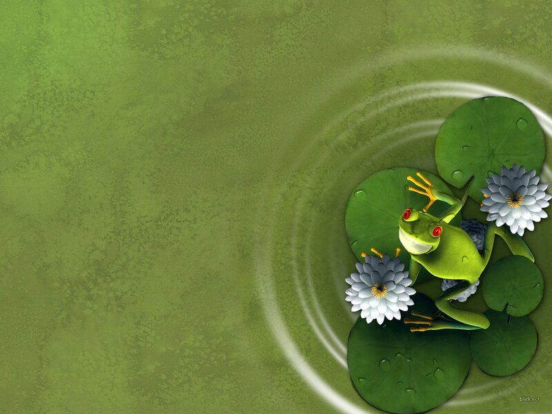 frog on lily pad with water ripples