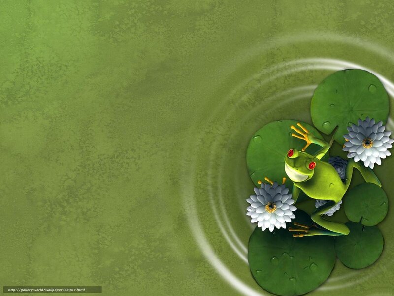 frog on lily pad with water ripples