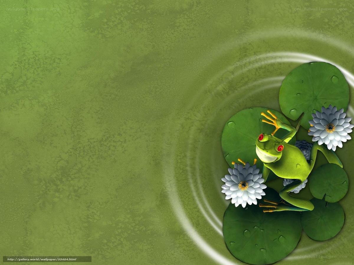 frog on lily pad with water ripples